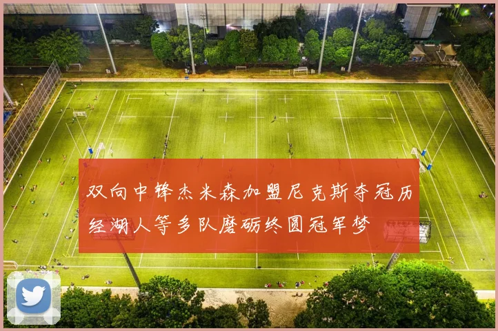双向中锋杰米森加盟尼克斯夺冠历经湖人等多队磨砺终圆冠军梦