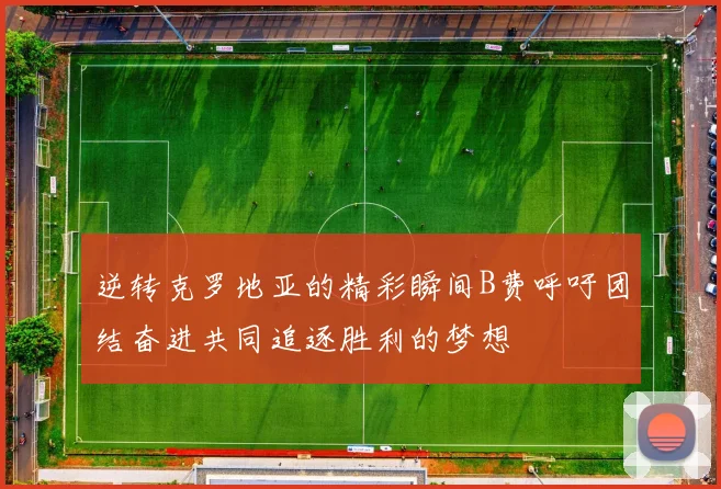 逆转克罗地亚的精彩瞬间B费呼吁团结奋进共同追逐胜利的梦想