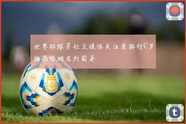 世界杯球员社交媒体关注度排行C罗梅西哈姆名列前茅